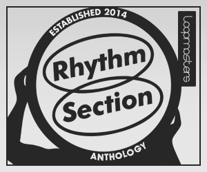 Loopmasters lm rhythm section anthology 300x250
