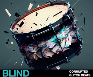 Loopmasters glitch 300x250