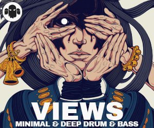 Loopmasters gs views 300x250 min