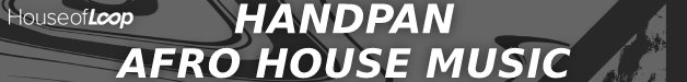 Loopmasters handpan for afro house music 628