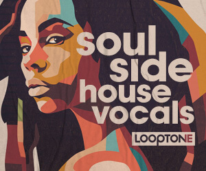 Loopmasters looptone soul side 300x250