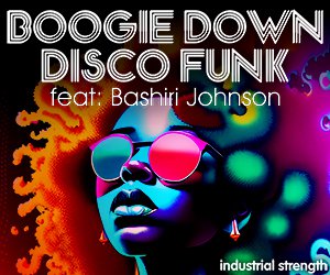 Loopmasters 5 bddf 300 x 250 v2