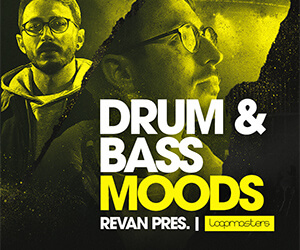 Loopmasters dnbm banner 300