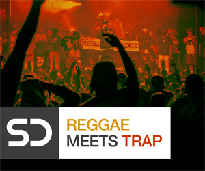 Loopmasters rmt banner 300