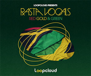 Loopmasters rv banner 300