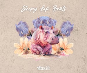Loopmasters alliant audio sleepy lofi beats