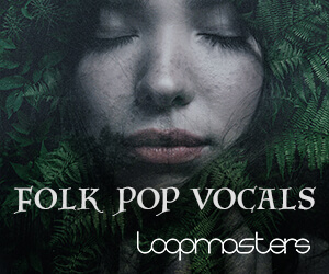 Loopmasters fpv 300x250