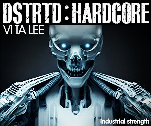 Loopmasters 5 dstrtd 300 x 250