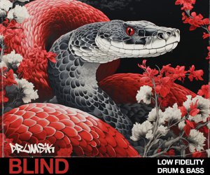 Loopmasters lofi dnb 300x250