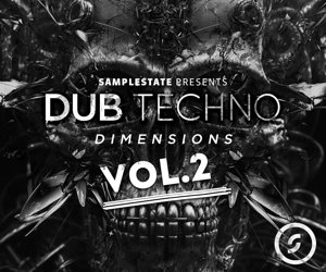 Loopmasters dtd2 300x250