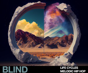 Loopmasters lc 300x250