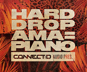 Loopmasters hda banner 300