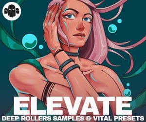 Loopmasters gs elevate 300x250 min