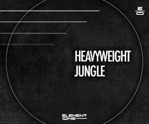 Loopmasters 300x250