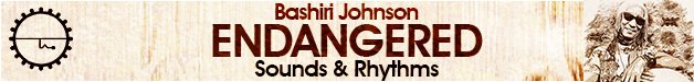 Loopmasters endangered bashiri johnson  percussion  loops  one shots  drums  percussive house  hip hop  african and rare percussion instruments 628 x 75