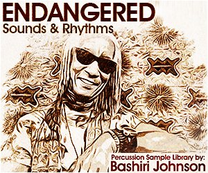 Loopmasters endangered bashiri johnson  percussion  loops  one shots  drums  percussive house  hip hop  african and rare percussion instruments 300 x 250