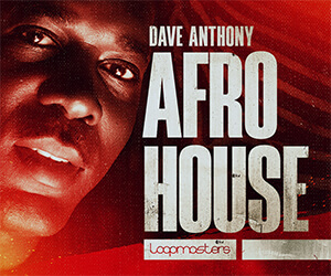 Loopmasters ah banner 300