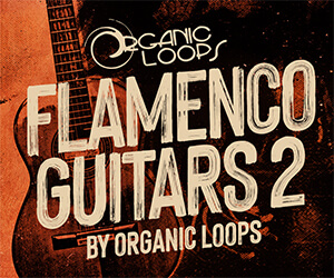 Loopmasters fg2 banner 300