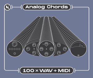 Loopmasters analog chords 250 300