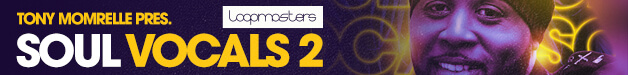 Loopmasters sv2 banner 628