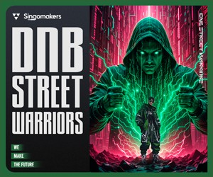 Loopmasters singomakers dnb street warriors 300 250