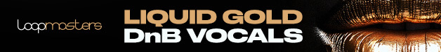 Loopmasters lgdnb banner 628