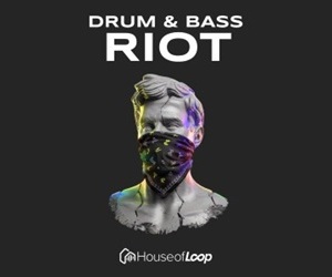 Loopmasters drum   bass riot