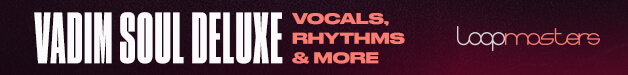 Loopmasters vsd banner 628