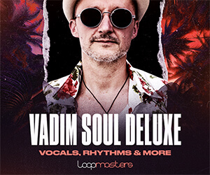 Loopmasters vsd banner 300