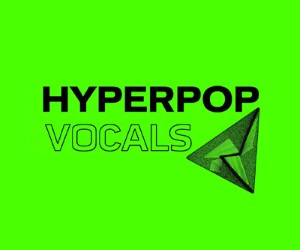 Loopmasters hv 300x250