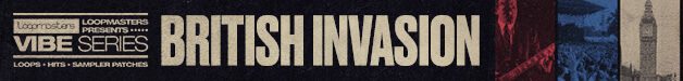 Loopmasters bi banner 628