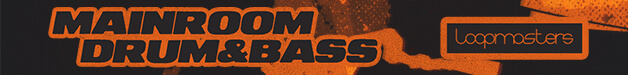 Loopmasters wdnb banner 628