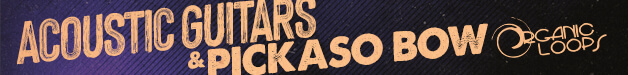 Loopmasters pb banner 628