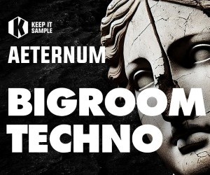 Loopmasters bt 300x250