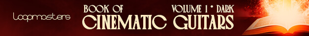 Loopmasters cg1 banner 628
