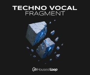 Loopmasters techno vocal fragment lq