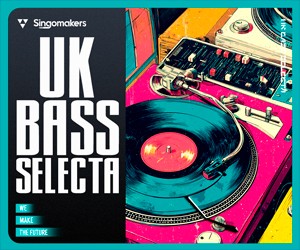 Loopmasters singomakers uk bass selecta 300 250