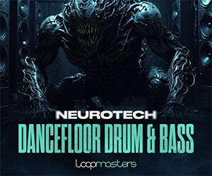 Loopmasters ntd banner 300
