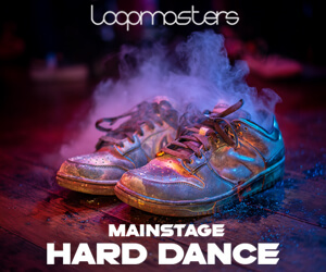 Loopmasters main hd 300x250