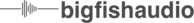 Bfa logo on white