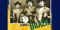 Bom dia banner lg