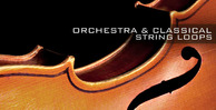Orchestra banner lg
