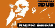 Drumdrops dub 2 pk1 banner 