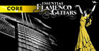 Essential Flamenco Guitars