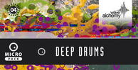 Deepdrums banner lg