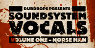Soundsystemvocals1 banner