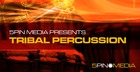 Tribal Percussion