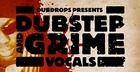 Dubstep And Grime Vocals