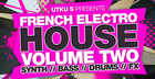 French Electro House Vol 2