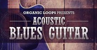 Acoustic Blues Guitar